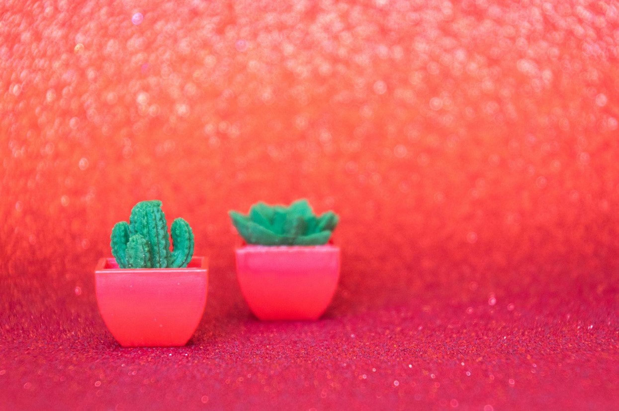 Why Faux Plants are Perfect for Your Home Décor